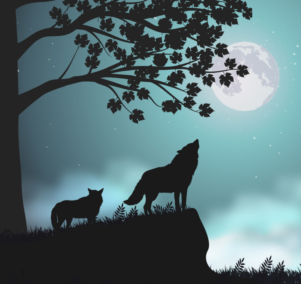 Wolves