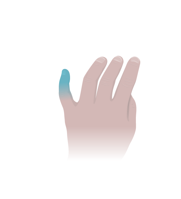 Typing Lessons | Using a Browser: Reflection - Typing.com
